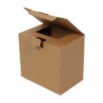 Kutu 22x15x20 cm Amerikan Kilit Kraft