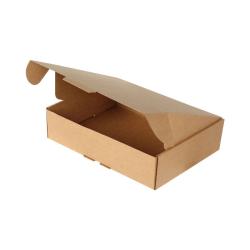 Kargo Kutusu 40x30x10 cm Kraft