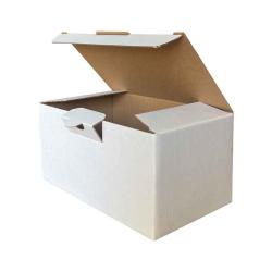 Kutu 17,5x10x8,5 cm Amerikan Kilit Beyaz