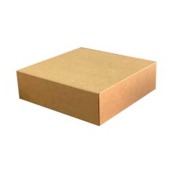31x31x6 cm Kraft Karton Kutu Kilitli